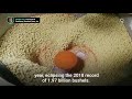 Processors Could Post Another Record Soybean Crush