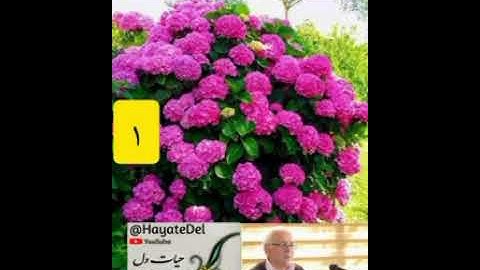 ۱_شرح سوره مبارکه فرقان،آیه ۱ به بعد