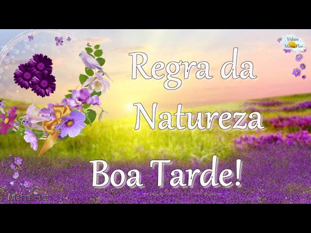 Regras sobre Nature