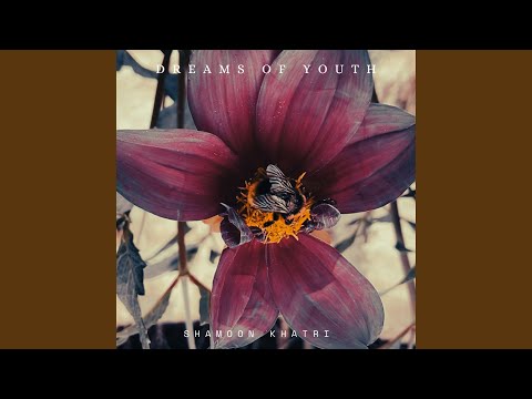 Dreams Of Youth Dreams Of Youth