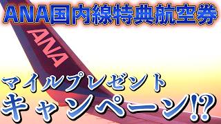 クレジットカード・ホテル・航空会社などのニュースまとめ‼️【5/24-5/30】