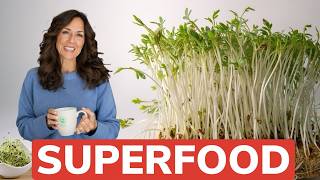 Why I Eat Sprouts Every Day Gut Health Game Changer