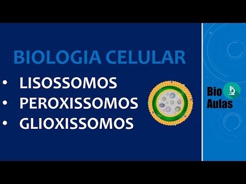 Vídeo: Diferença Entre Glioxissomos E Peroxissomos