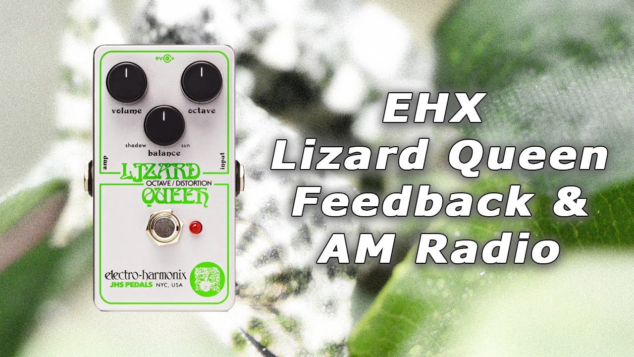 🤪 🦎 Crazy Lizard Queen's Feedback and AM Radio bonus features! 🎸