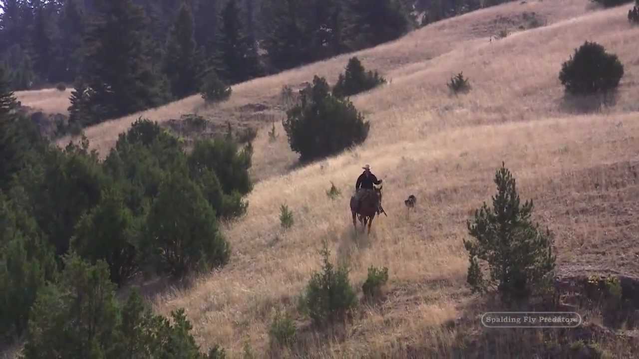 The Reward Why I love Horsemanship by Jon Ensign YouTube