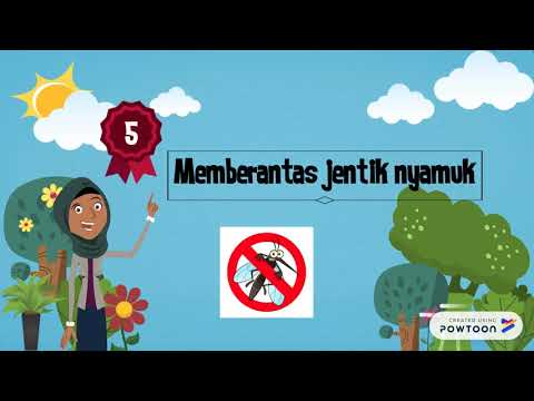 Video: Langkah Pertama Dalam Kehidupan Sekolah