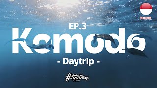 🇮🇩 EP.3 นอนหาดสีชมพู วิ่งหนีมังกรโคโมโด และดำน้ำกับฝูงManta, One day Trip Komodo.