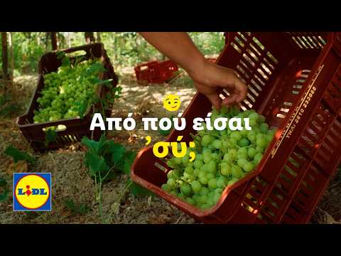 “Από πού είσαι 'σύ” | Το νέο οδοιπορικό για την καταγωγή των σταφυλιών μας | Lidl Hellas