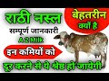 Rathi Cow Breed     Ramawat