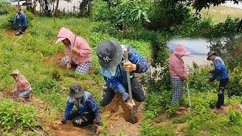 hnub no kuv tus niam tsev wb mus khawb qhov ntoo yas 27/05/2022