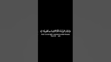 كروما شاشة سوداء قرآن كريم 🌿تلاوة من سورة البقرة 🌿القارئ وديع اليمني 🌿