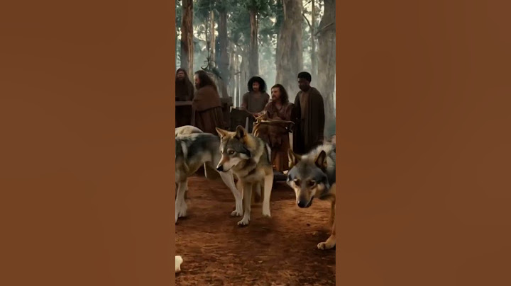 Dogs vs Humans who wins.
