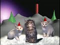 Christmas_cats.mpg