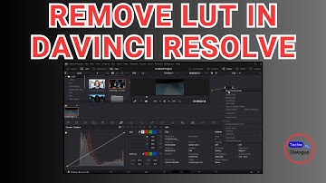 How to Remove LUT in DaVinci Resolve - Full Tutorial [2025]