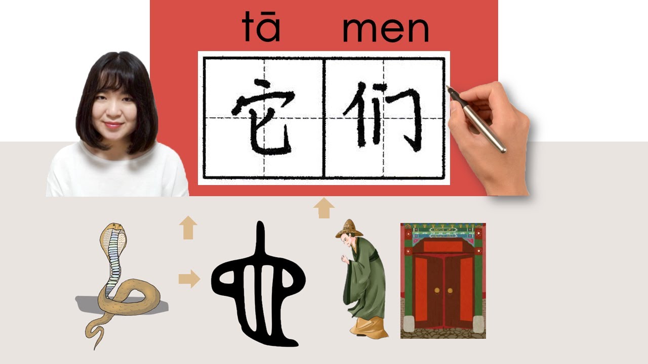 【NEW HSK1】HSK 2/它们/它們/tamen_(they, them (plural of 它))How to Pronounce ...