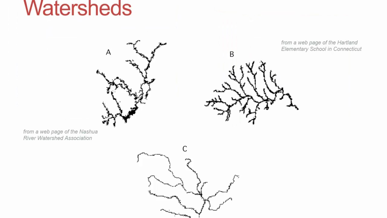 Fractals from natural processes and simulations