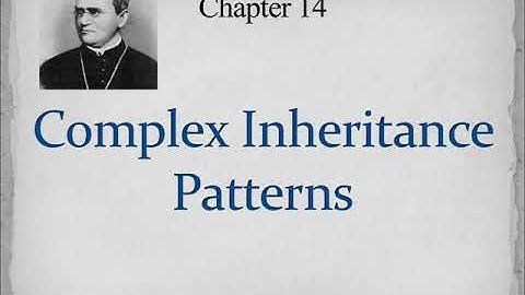 Chapter 14 Complex Inheritance Patterns