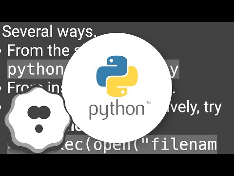 How to execute a file within the Python interpreter?