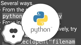 How to execute a file within the Python interpreter