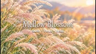 💙 Dreamy Blue Daisy Garden | Cheerful Piano & Flute Waltz for Reading, Focus & Relax screenshot 5