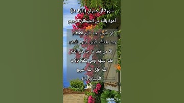 سورة آل عمران الآية ١٩