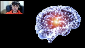 Revolutionizing Neuroscience: Precise Control of Cell Activity with Optogenetics