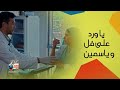 مسلسل ورد على فل و ياسمين   بداية قصة الحب بين صبا مبارك و أحمد عبد الوهاب نجومي