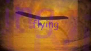 Video thumbnail of "Fear of Flying Picture House"