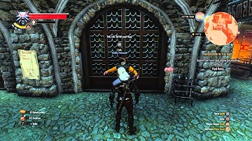 The Witcher 3 HEADLESS glitch