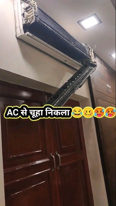 AC Me Se Chuha Nikla Rat In Air Conditioner Smell In Split Ac Rat ac-me-se-chuha-nikla-rat-in-air-conditioner-smell-in-split-ac-rat