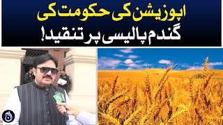 Criticism of the opposition government’s wheat policy - Aaj News