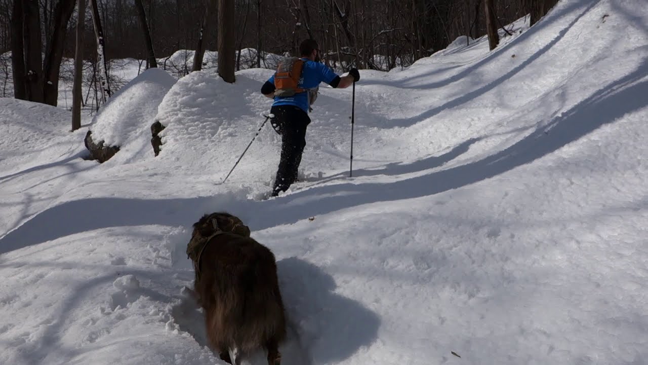 Microspikes vs Snowshoes YouTube