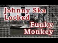 Johnny ska  locked funky monkey