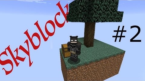 Minecraft: Skyblock Part 2 (Into the Nether)