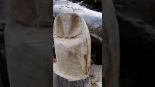 chainsaw carved basic Owl Basic oak owl fb chainsaw carings with gaz lacey www.chainsawcarvinggaz.co.uk.co.uk.
