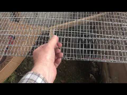 Video: Paano Gumawa Ng Guinea Pig Cage