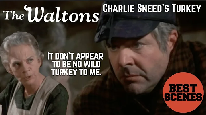 The Waltons Homecoming: A Christmas Story - Charli...