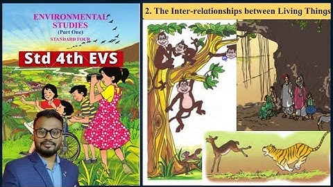 Lesson 2 The Inter relationship Between Living Things, Evs, Student point academy