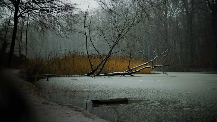 Snow Falling on Lake for 10 Hours (No Music) Relaxing, Sleeping, Meditation, Studying, Baby to Sleep