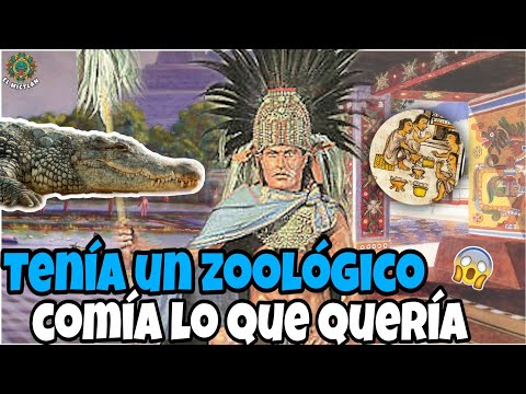 Los LUJOS que