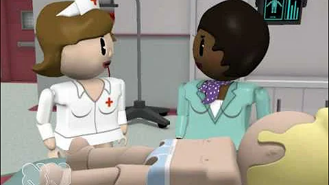 A Few Minutes In The Life Of A Sign Language Interpreter