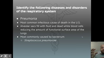 MAP - STRAND 12 - Google Slides