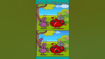 spot 5 differences//spot the 5 differences answers