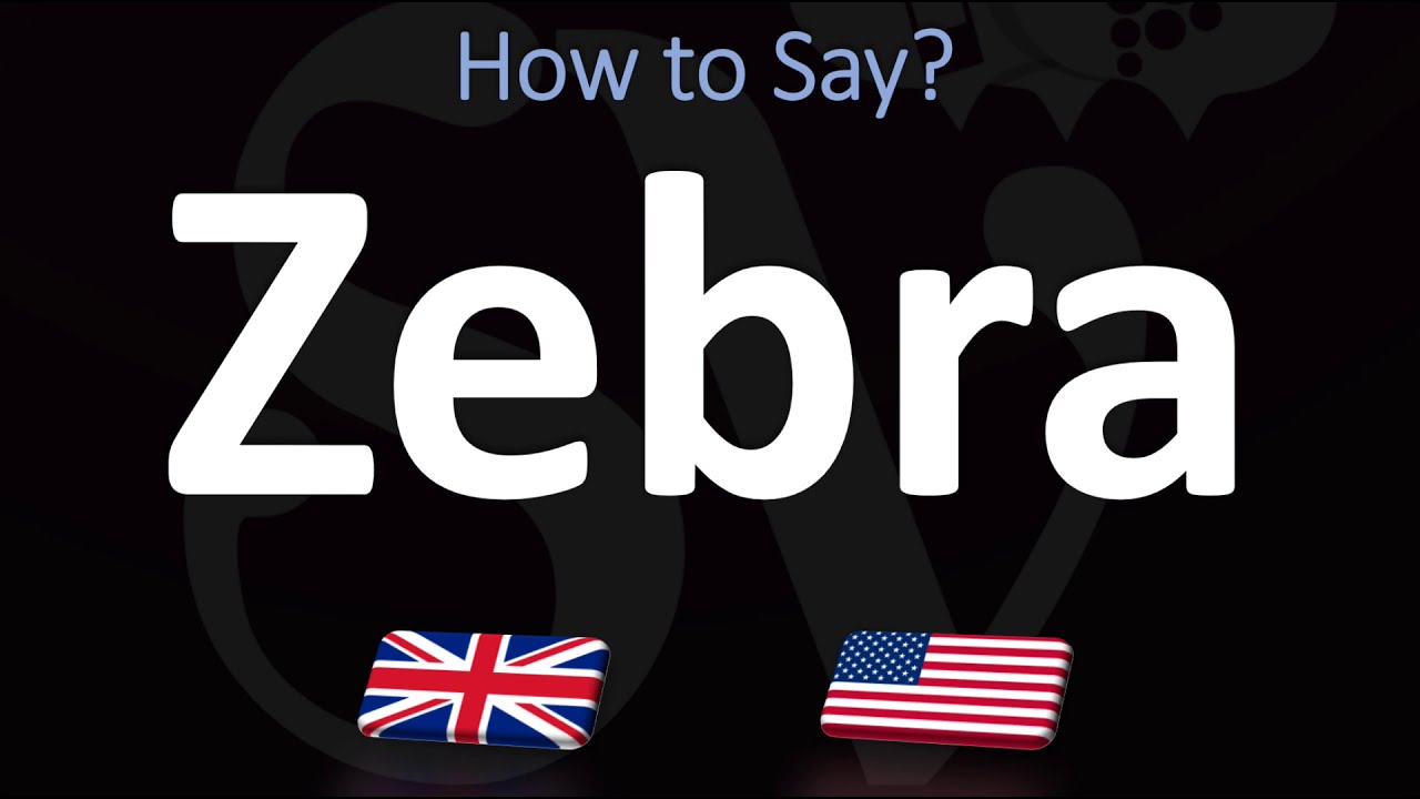 How To Pronounce Zebra? (Correctly) | Is It Pronounced Zeebra Or Zebra?