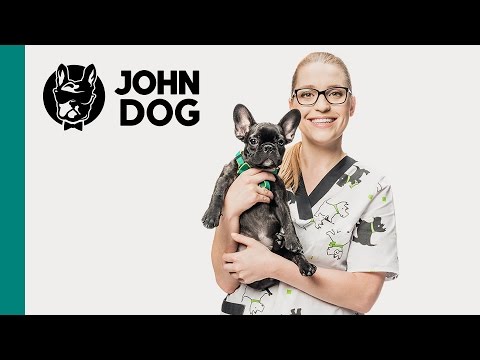 Wideo: Szczepienie Dla Psa. Co Właściciel Musi Wiedzieć