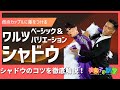 【社交ダンス】ワルツ シャドウ(ベーシック&バリエーション)