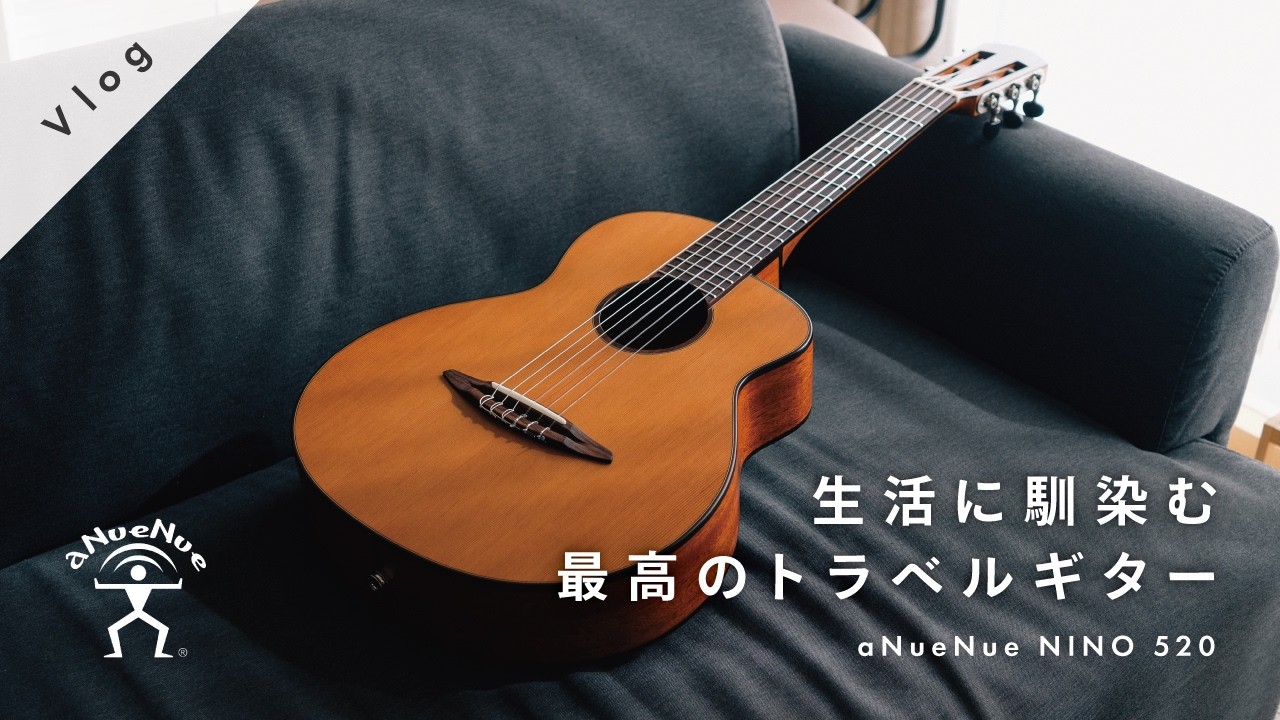 新感覚】ウクレレのような可愛いギターがやってきた / aNueNue NINO