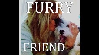 FURRY FRIEND TAG // feat. Monty