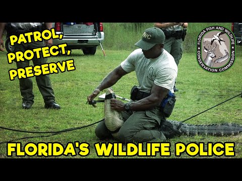FWC: FLORIDA FISH AND WILDLIFE CONSERVATION COMMISSION