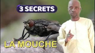 Download lagu LALABY FAÏDA DES 3 SECRETS CACHÉ SUR LES MOUCHES